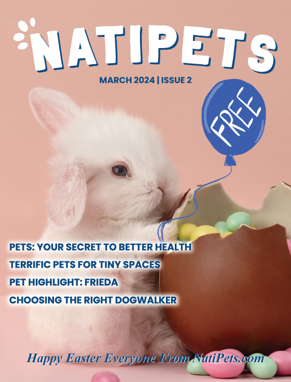 NatiPets March 2024 cover