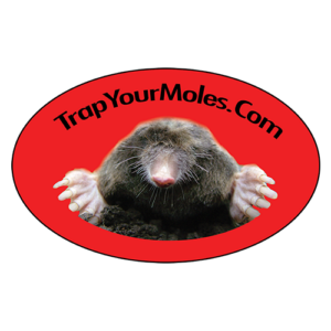 Trap Your Moles